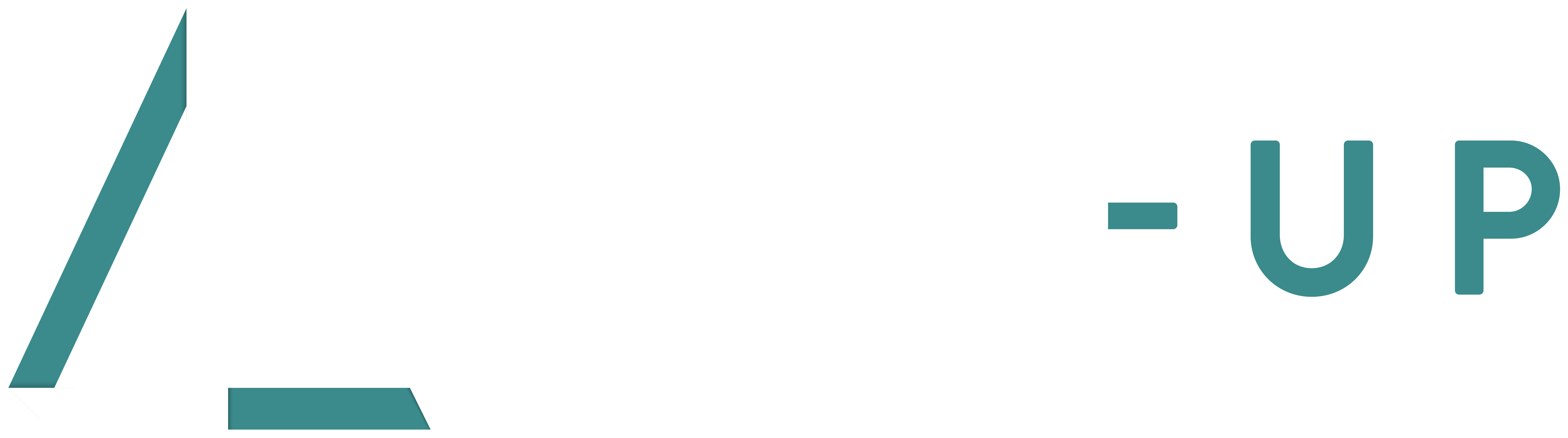 Line-Up